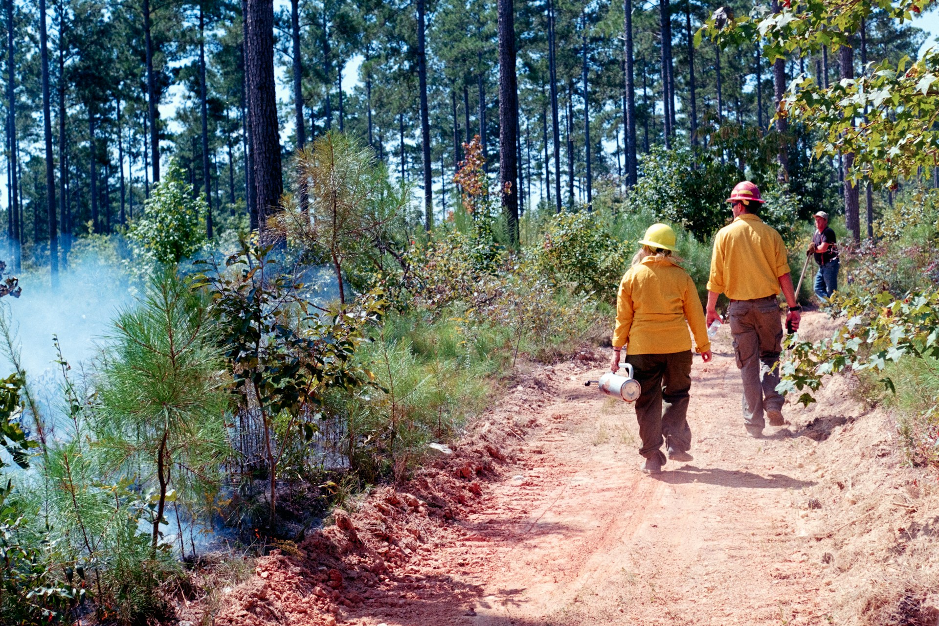A volunteer crew working together in an outdoor environment